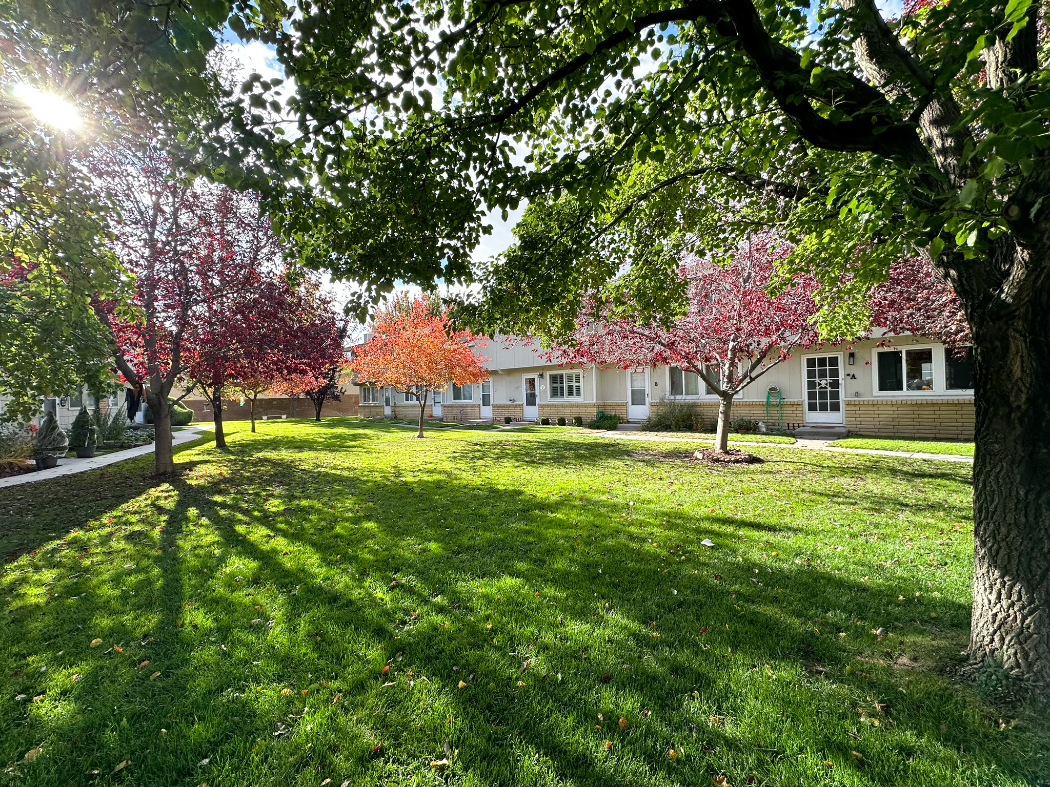 1347 El Dorado Drive C